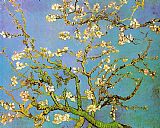 Vincent van Gogh - Almond Branches in Bloom painting